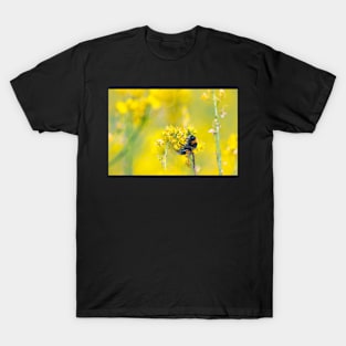 Bee Happy in Yellow T-Shirt